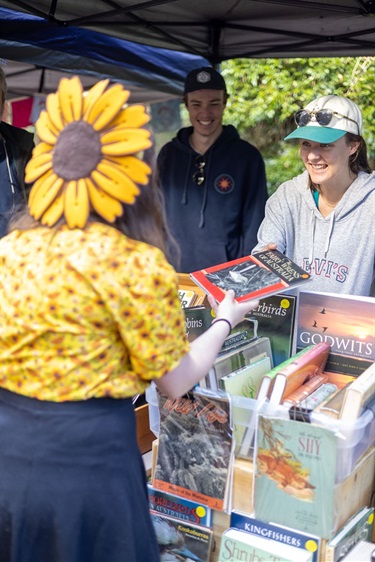 Sunflower market